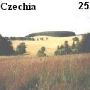 Lonely meadows of Cesky les