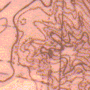 Basemap Stirling 1964